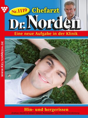 cover image of Chefarzt Dr. Norden 1119 – Arztroman